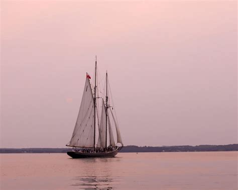 Ile kosztuje kurs tłumacza przysięgłego?